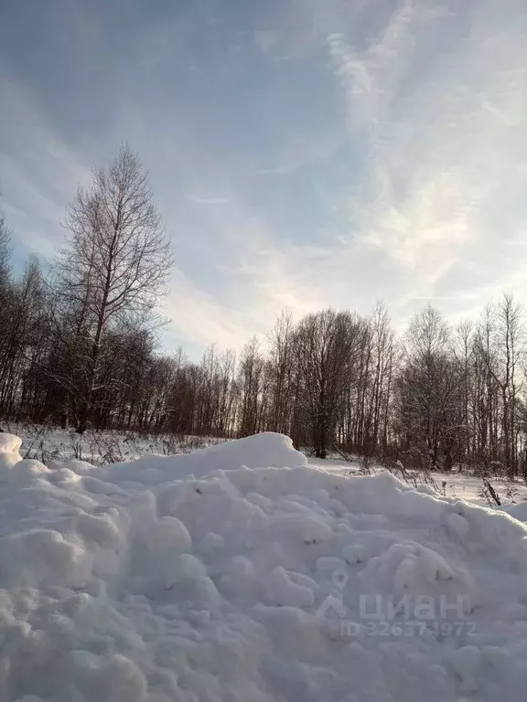 Участок в Московская область, Ступино городской округ, с. Федоровское ... - Фото 2