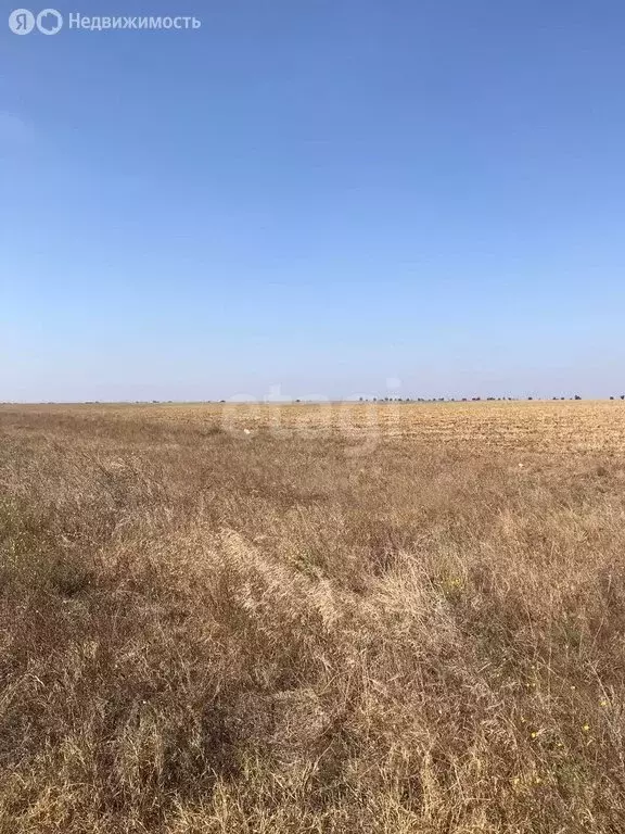 Участок в Сакский район, Штормовское сельское поселение, село ... - Фото 1