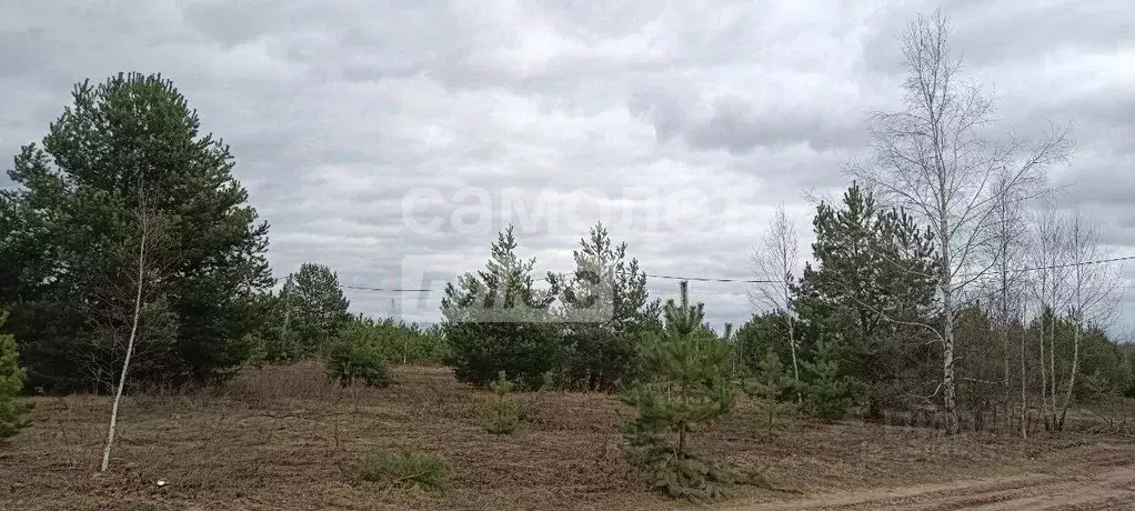 Участок в Владимирская область, Суздальский район, Боголюбовское ... - Фото 0