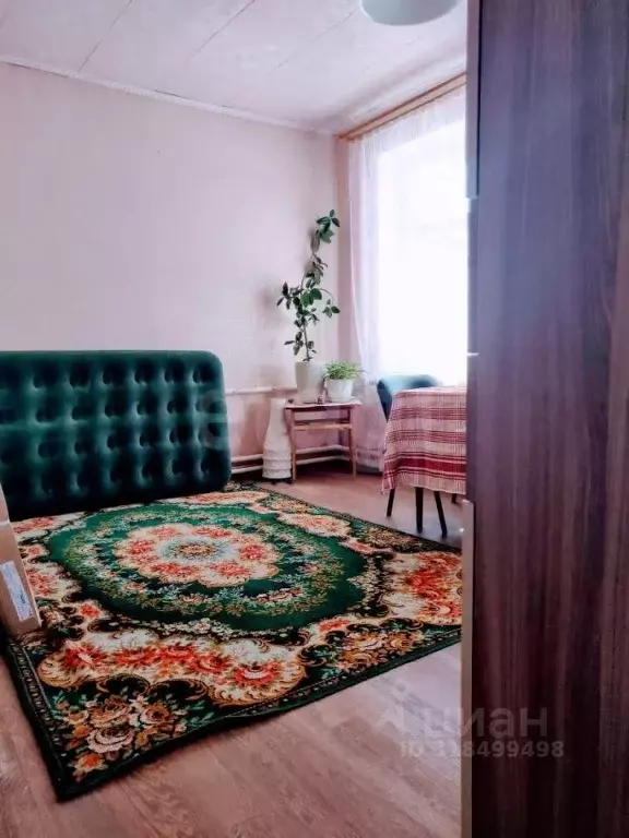 2-к кв. Нижегородская область, Бор Октябрьская ул., 2А (31.3 м) - Фото 0