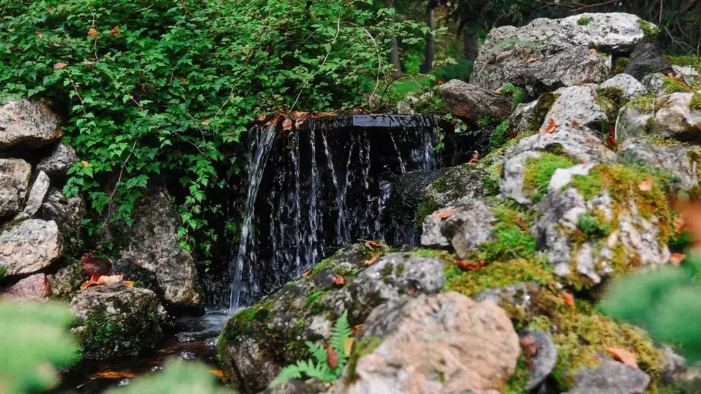 Участок в Ленинградская область, Всеволожский район, Бугровское ... - Фото 2
