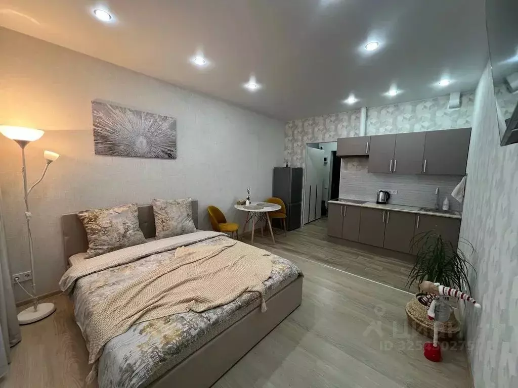 Студия Московская область, Солнечногорск городской округ, Андреевка ... - Фото 2