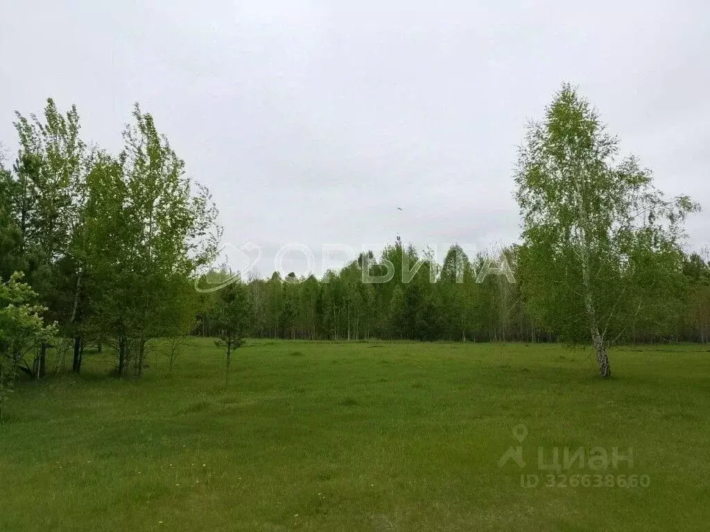 Участок в Тюменская область, Нижнетавдинский муниципальный округ, с. ... - Фото 2