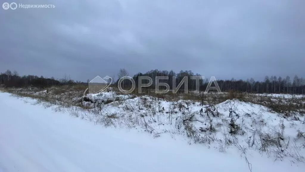 Участок в Нижнетавдинский район, деревня Штакульская (1100 м) - Фото 1