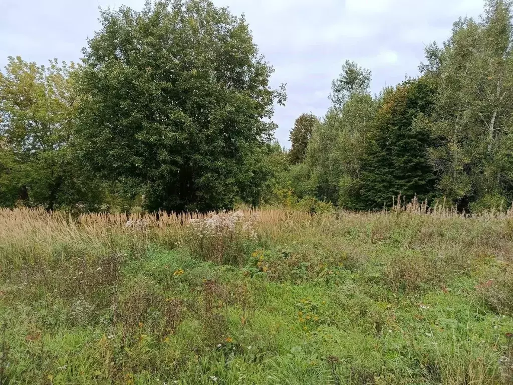 Участок в Ярославская область, Ростовский муниципальный округ, с. ... - Фото 2