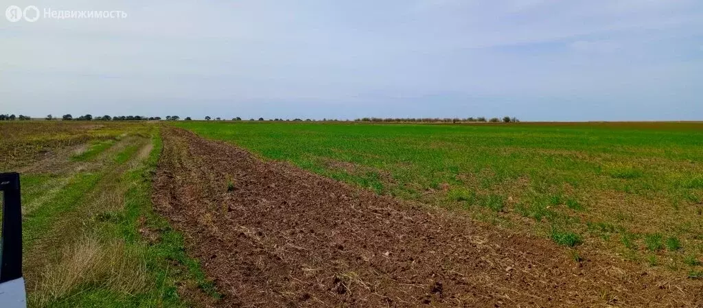 Участок в Сакский район, село Штормовое (200 м) - Фото 1