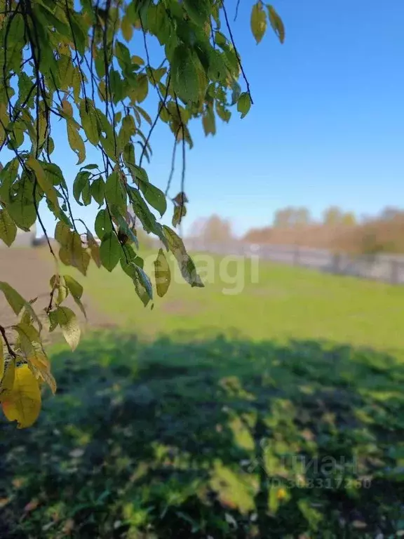 Участок в Кемеровская область, Юрга Зеленая ул. (19.7 сот.) - Фото 0