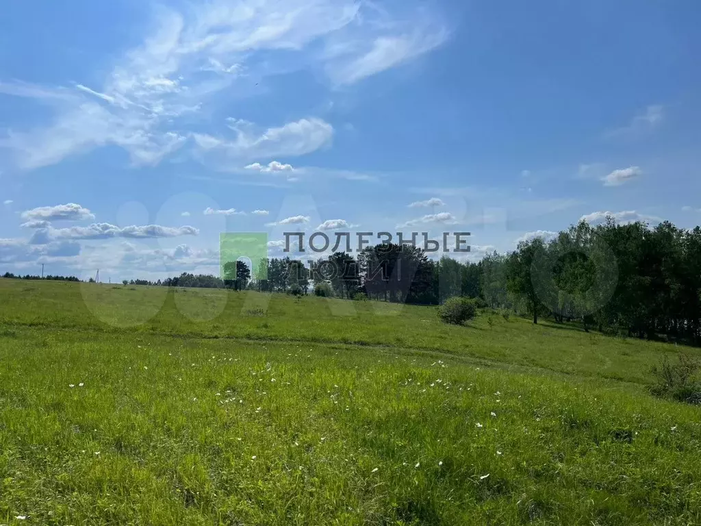 Участок 13,89 га (СНТ, ДНП) - Фото 1
