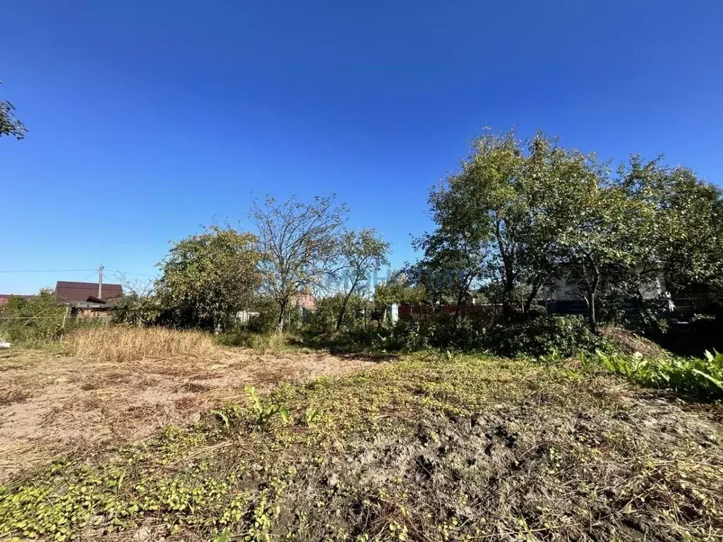 Участок в Нижегородская область, Нижний Новгород д. Малая Ельня, Луч ... - Фото 2