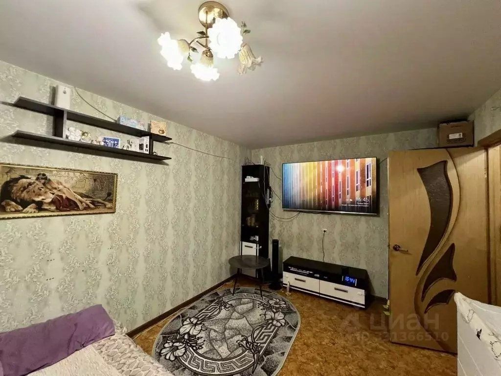 1-к кв. Нижегородская область, Дзержинск ул. Чапаева, 76 (33.3 м) - Фото 1