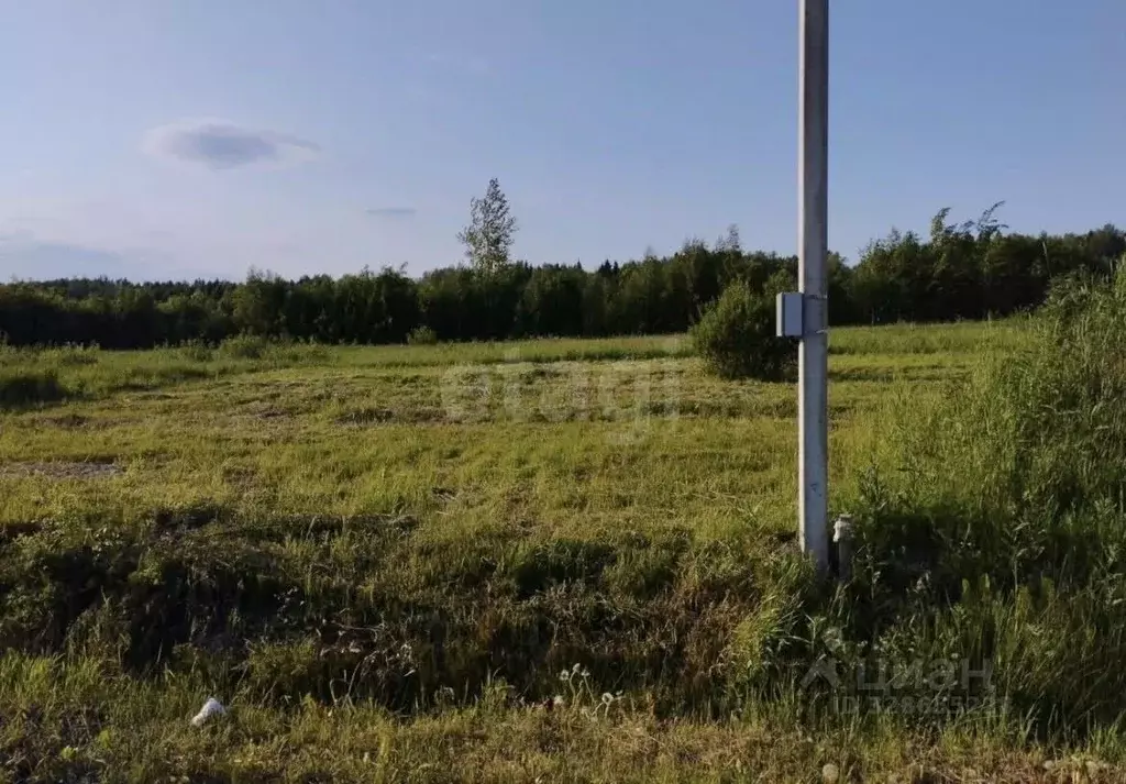 Участок в Ленинградская область, Всеволожский район, Лесколовское ... - Фото 2