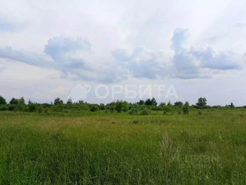 Участок в Тюменская область, Тюменский район, с. Чикча  (350.0 сот.) - Фото 0