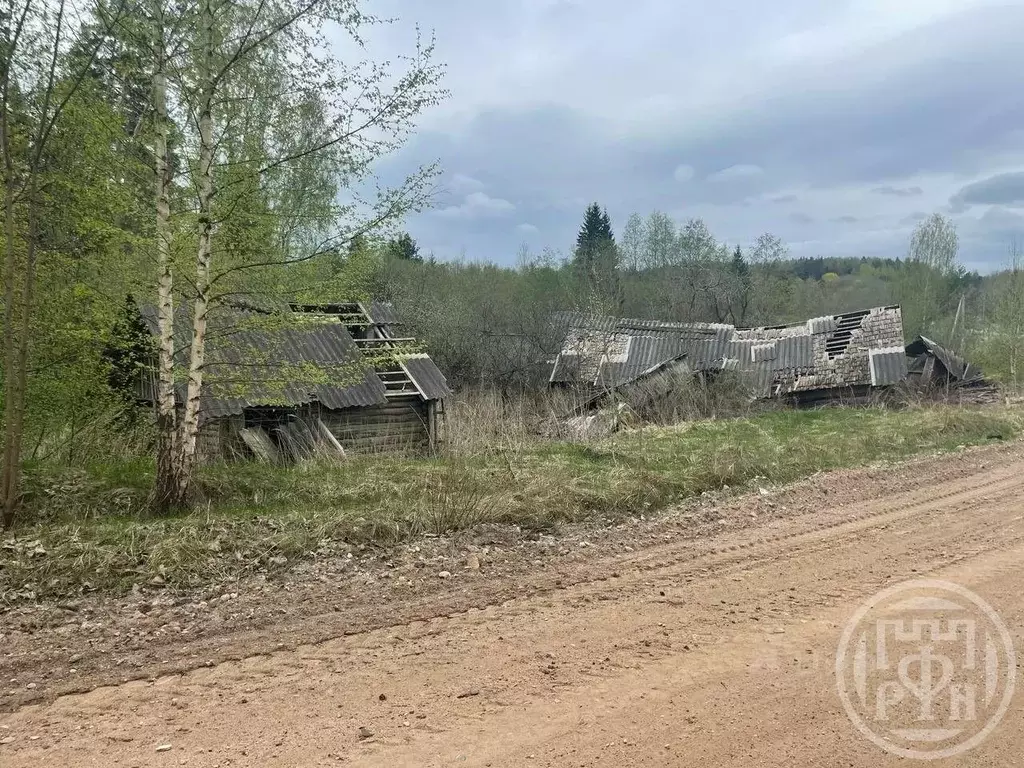 Участок в Псковская область, Опочка Новая ул. (1700.0 сот.) - Фото 1