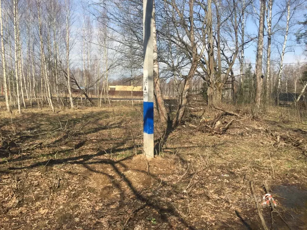 Участок в Московская область, Пушкинский городской округ, д. Могильцы  ... - Фото 1
