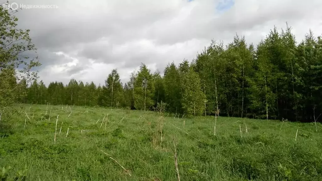 Участок в Тверская область, Кимрский муниципальный округ, деревня ... - Фото 1