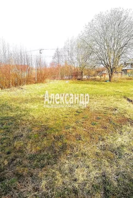 Участок в Ленинградская область, Приозерский район, Сосновское с/пос, ... - Фото 1