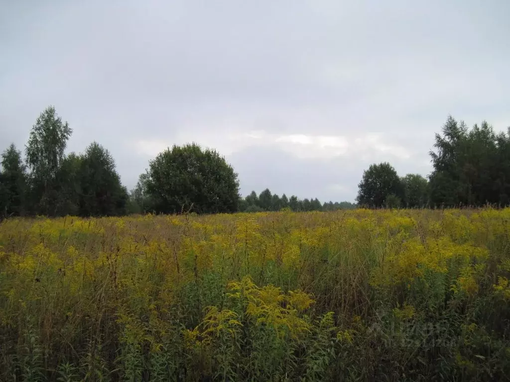 Участок в Нижегородская область, Чкаловск городской округ, д. Малая  ... - Фото 1