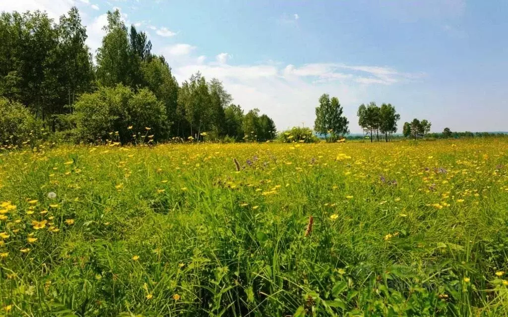 Участок в Московская область, Одинцовский городской округ, д. ... - Фото 1