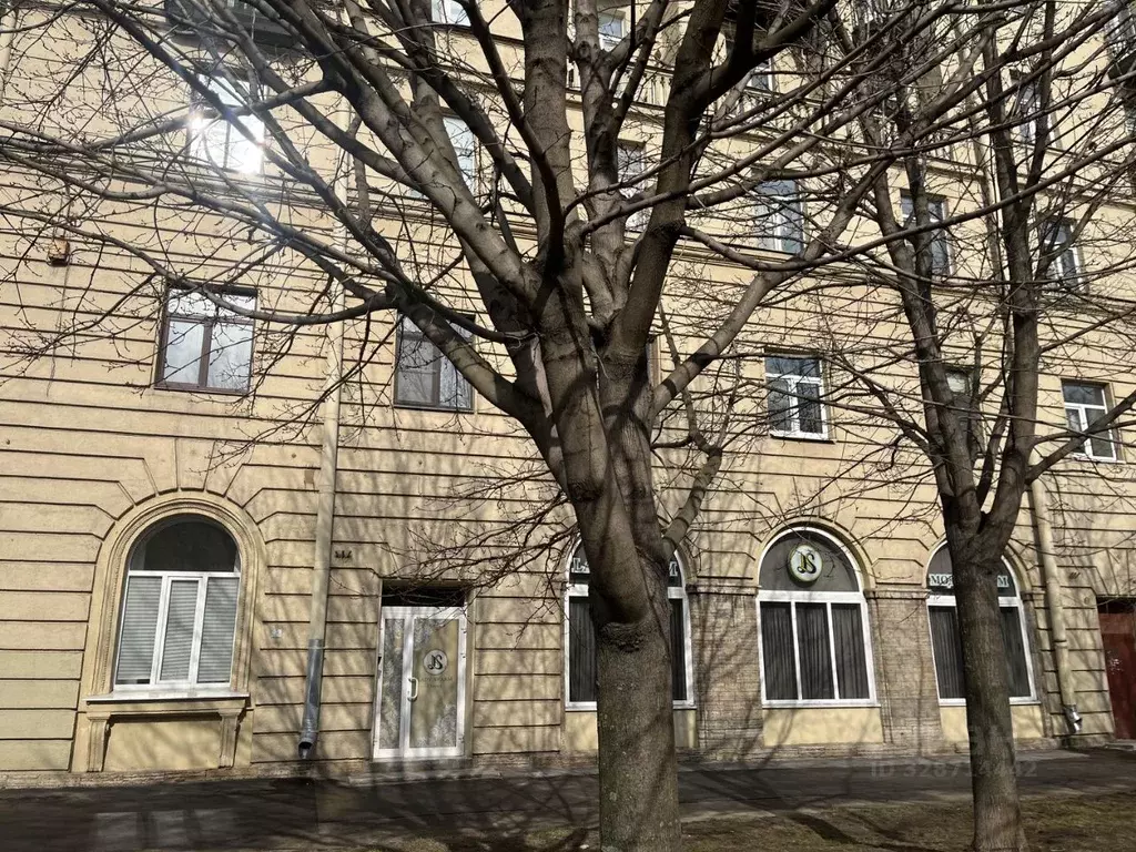 Помещение свободного назначения в Санкт-Петербург просп. Большой ... - Фото 1