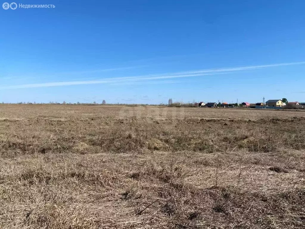 Участок в Тюмень, ТОО Ембаевское (5.78 м) - Фото 2