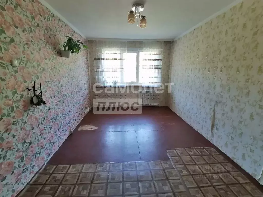 1-к кв. Алтайский край, Заринск ул. Металлургов, 18 (30.2 м) - Фото 1