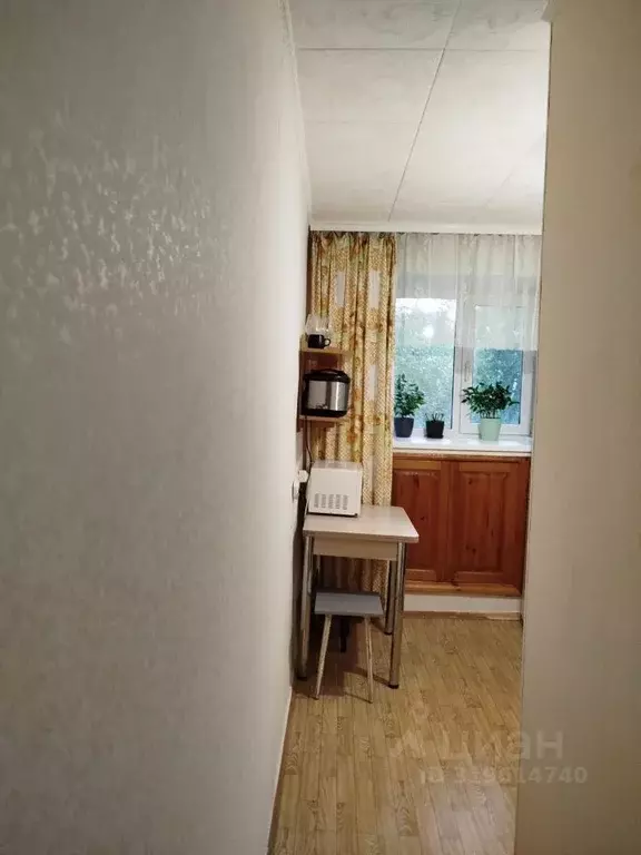 1-к кв. Новосибирская область, Новосибирск Академгородок мкр, ул. ... - Фото 1