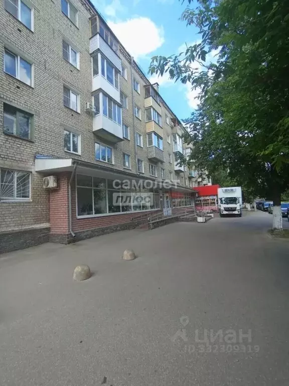 3-к кв. Нижегородская область, Бор ул. Ленина, 172 (53.4 м) - Фото 2