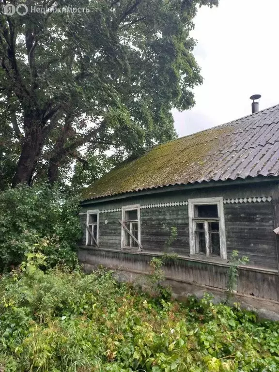Участок в Псковский муниципальный округ, деревня Опочицы (23 м) - Фото 1
