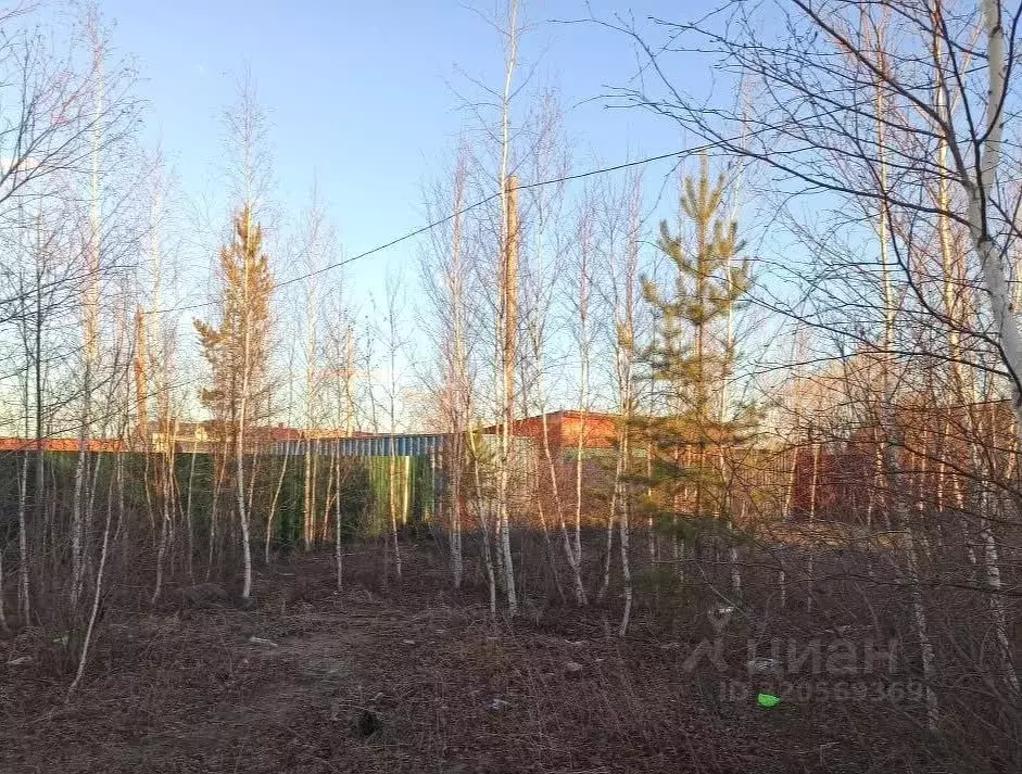 Участок в Саха (Якутия), Якутск Марха мкр, Мелиораторов кв-л,  (9.8 ... - Фото 1