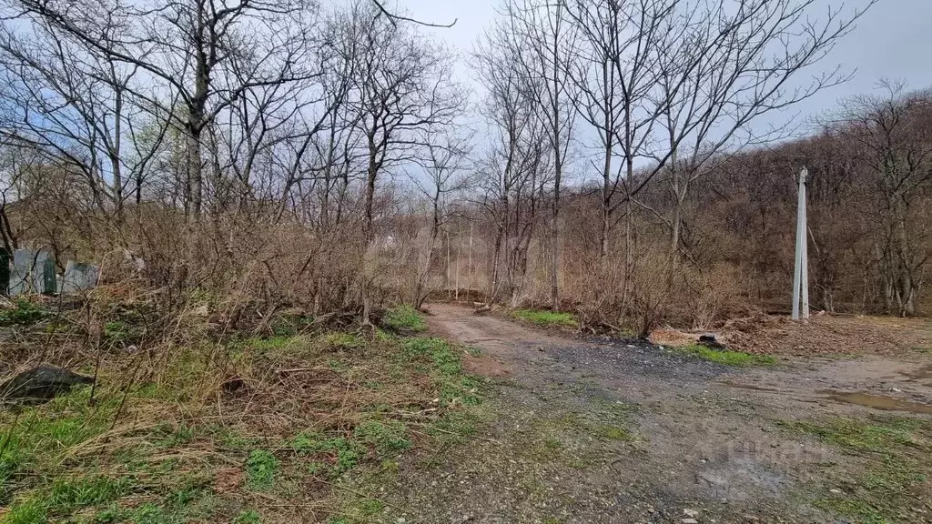 Участок в Приморский край, Владивосток ул. Аквамариновая, 6 (6.8 сот.) - Фото 0