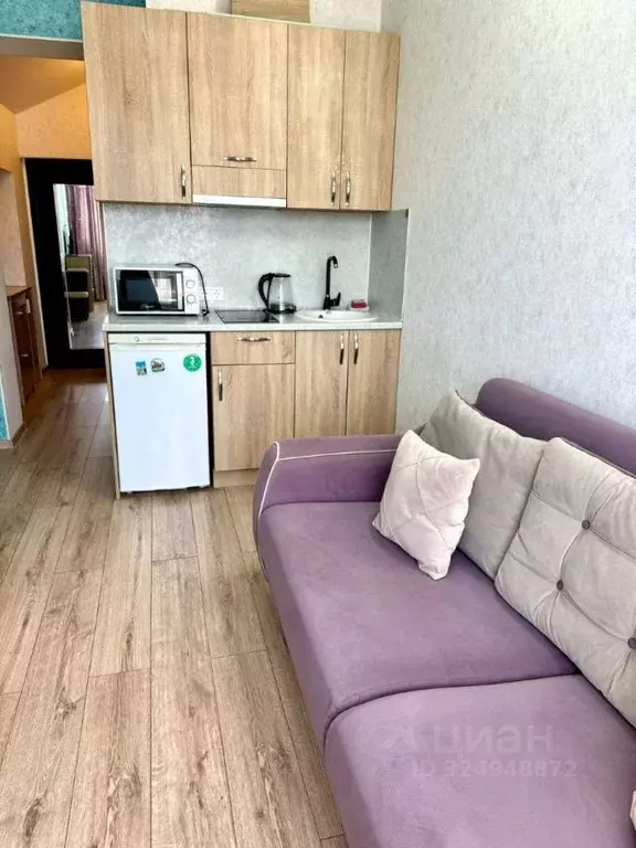 1-к кв. Краснодарский край, Сочи Виноградная ул., 89/2 (16.0 м) - Фото 1