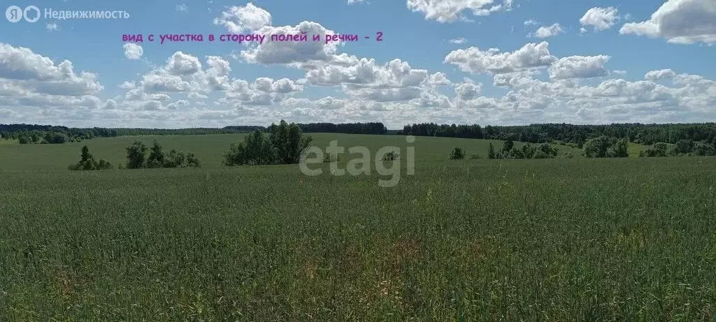 Участок в Венёвский район, муниципальное образование Мордвесское, село ... - Фото 1