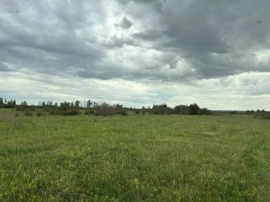 Участок в Саха (Якутия), Якутск городской округ, с. Хатассы  (150.0 ... - Фото 1