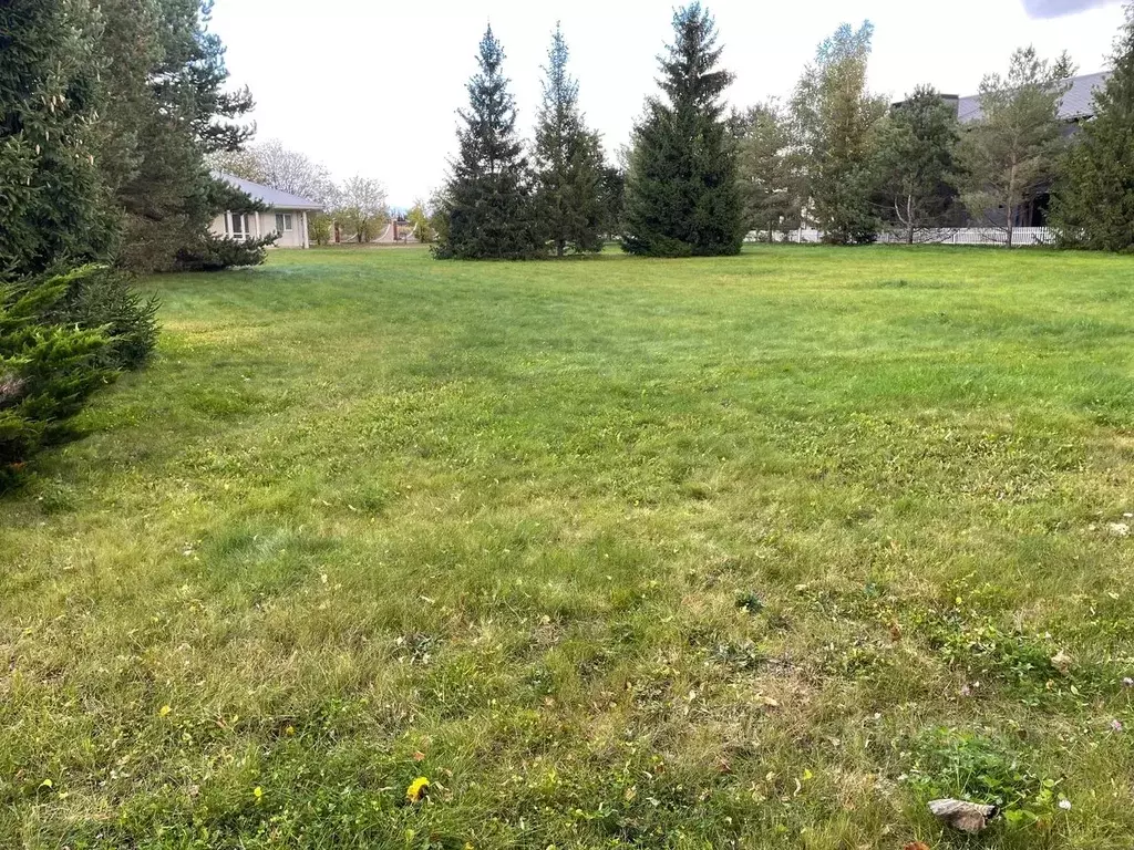 Участок в Московская область, Истра муниципальный округ, д. Чесноково, ... - Фото 2