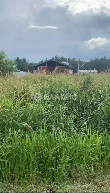 Участок в Ленинградская область, Всеволожский район, Романовское ... - Фото 1