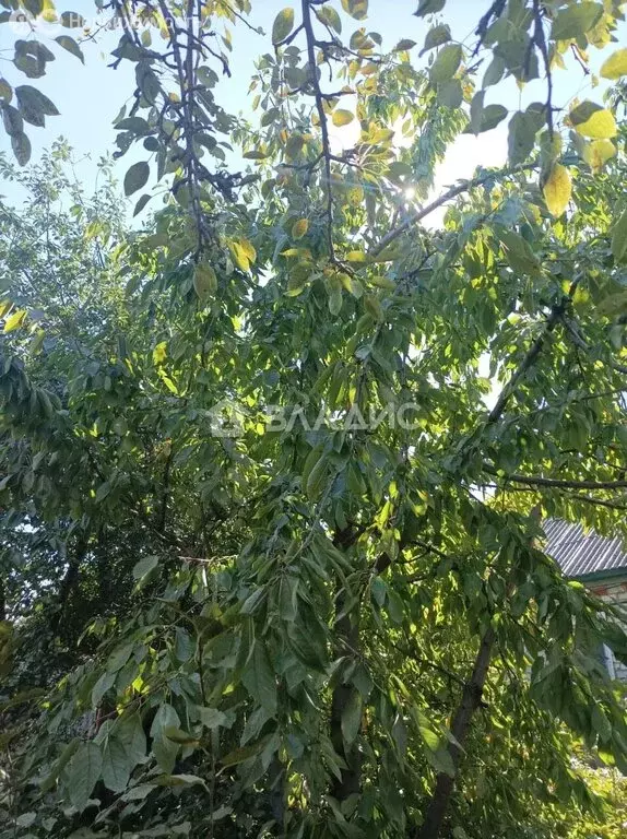 Участок в Краснослободск, Красногвардейская улица, 12 (4 м) - Фото 1