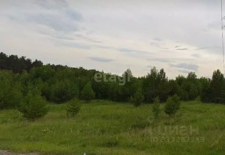 Участок в Свердловская область, Белоярский муниципальный округ, д. ... - Фото 0