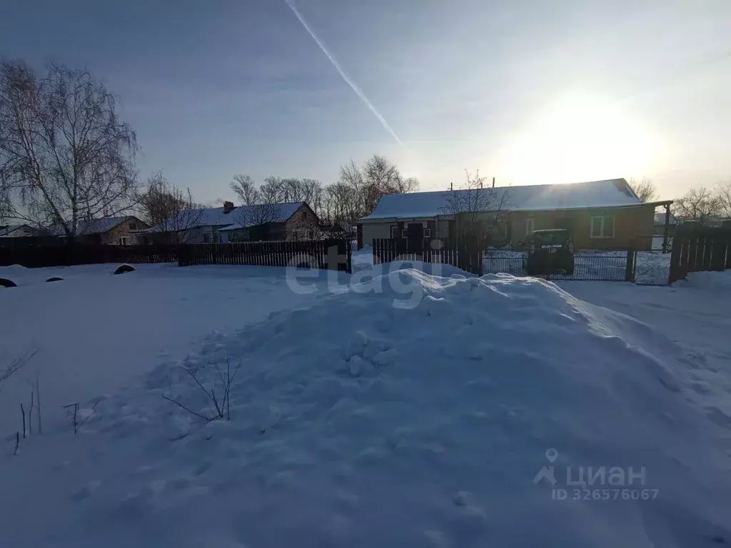 Дом в Алтайский край, Калманский район, с. Новороманово Новая ул., 29 ... - Фото 2