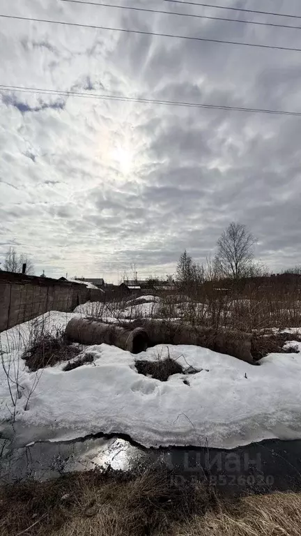 Участок в Вологодская область, Череповецкий район, пос. Суда Новая ... - Фото 2