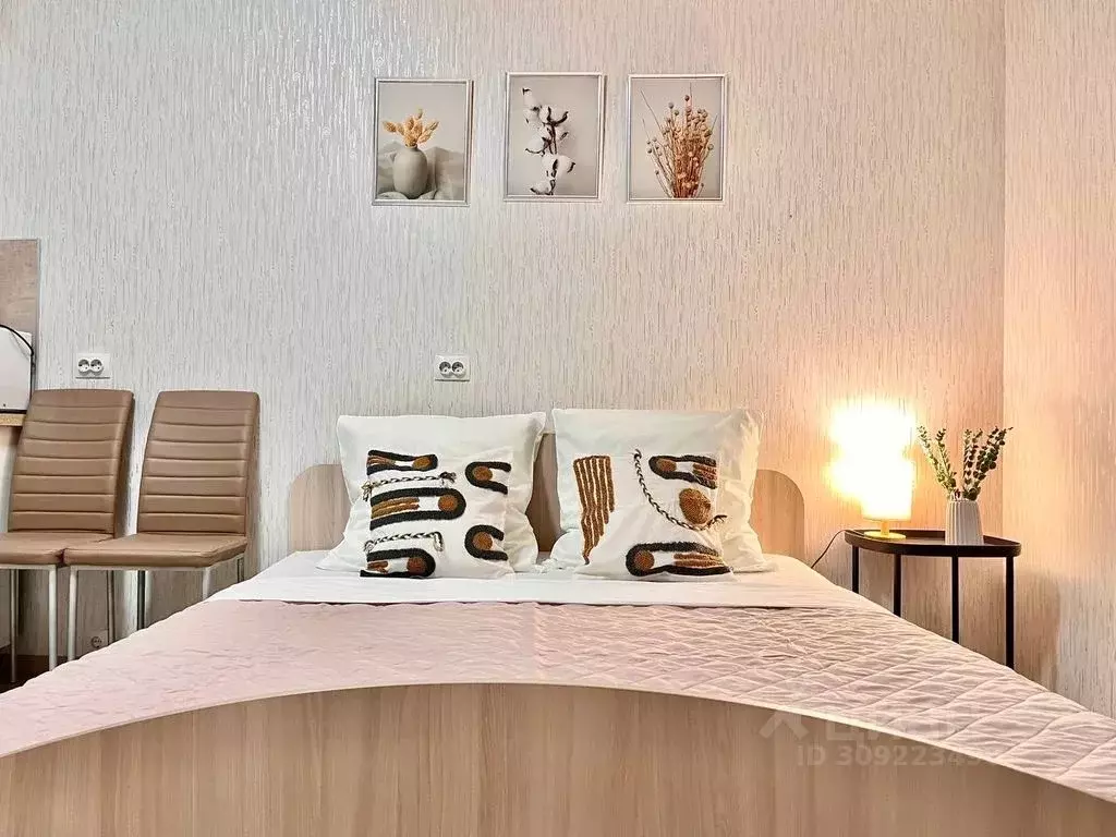 Студия Пермский край, Пермь ул. Революции, 52В (47.0 м) - Фото 1