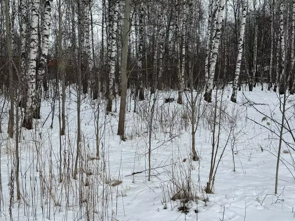 Участок в Московская область, Богородский городской округ, имени ... - Фото 0