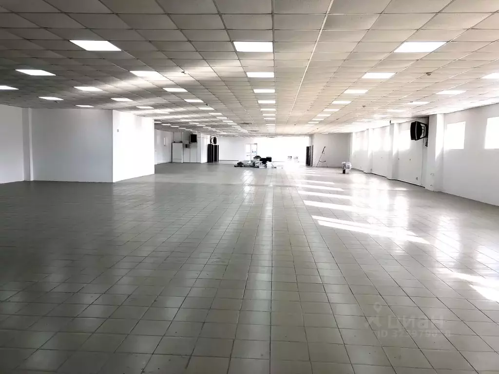 Помещение свободного назначения в Адыгея, Майкоп ул. Шовгенова, 293 ... - Фото 2