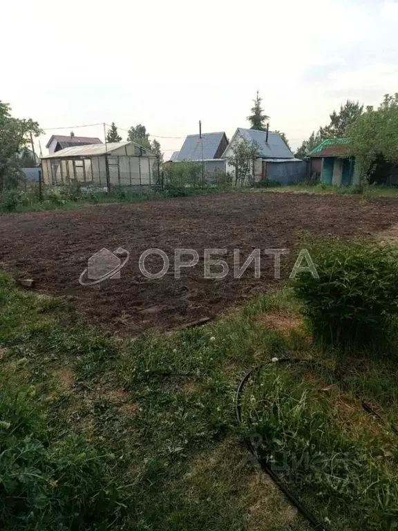 Участок в Тюменская область, Тюмень Гвоздика СНТ, ул. Ягодная (7.58 ... - Фото 1