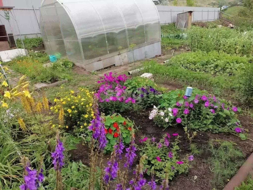 Дом в Красноярский край, Емельяновский муниципальный округ, Сад-6 СНТ ... - Фото 1