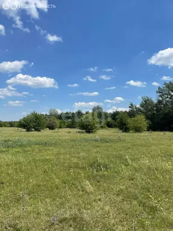 Участок в Старооскольский городской округ, хутор Чумаки, Земляничная ... - Фото 1