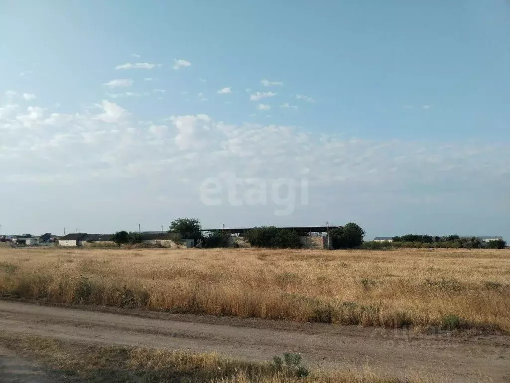 Участок в Крым, Ленинский район, Семисотское с/пос, с. Каменское ул. ... - Фото 1