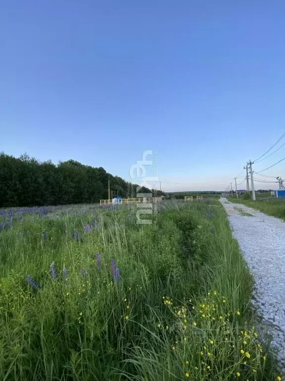 Участок в Нижегородская область, Богородский муниципальный округ, с. ... - Фото 2