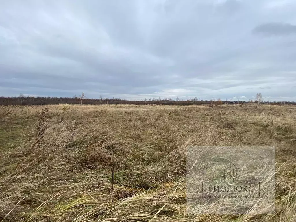 Участок в Челябинская область, Сосновский район, Саккуловское с/пос, ... - Фото 2