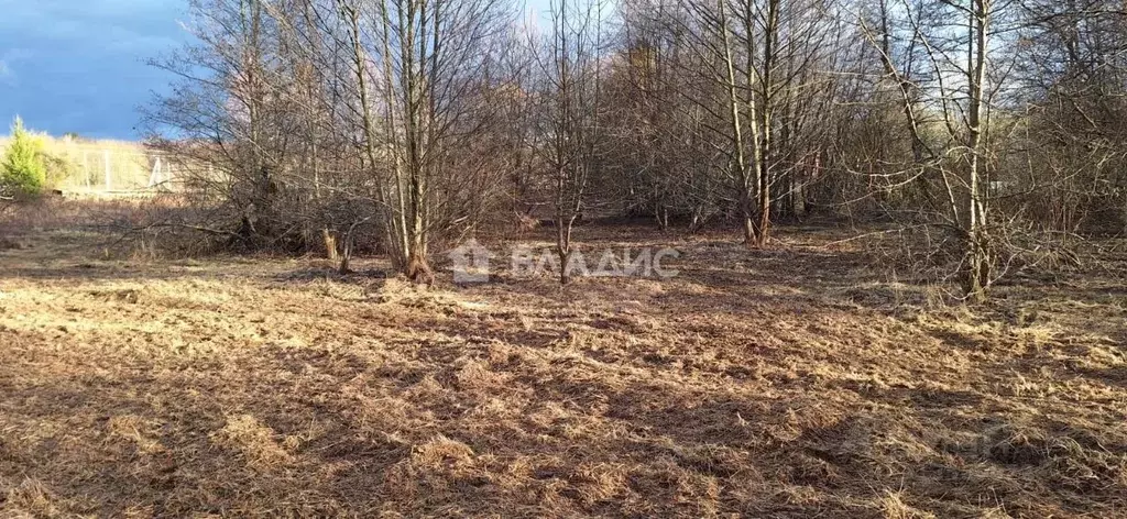 Участок в Калининградская область, Гурьевский муниципальный округ, ... - Фото 2