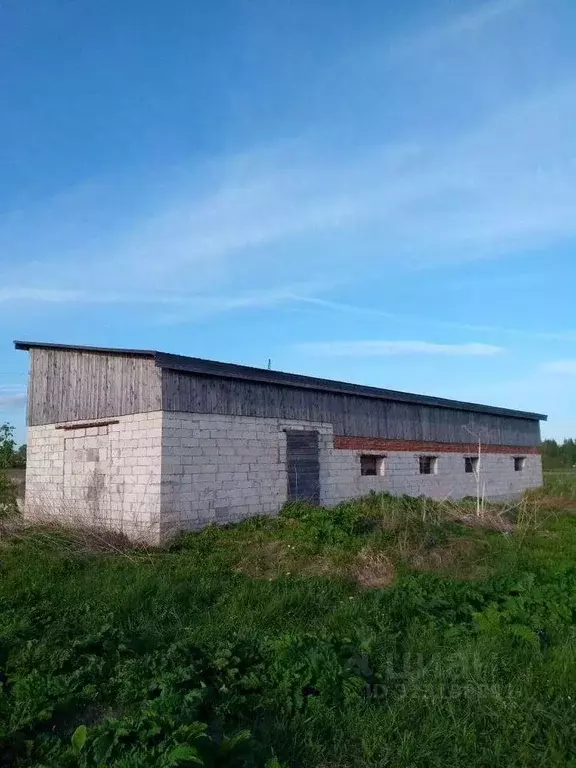 Участок в Новгородская область, Новгородский район, Бронницкое с/пос, ... - Фото 2